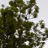 p1000170.jpg