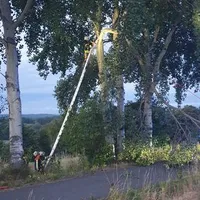 20230721_213750.jpg